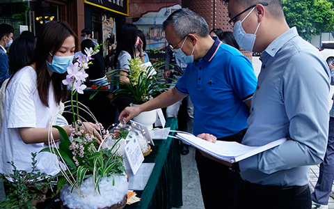 九游会园林园艺康养盆栽竞赛圆满举办，现场精彩缤纷~