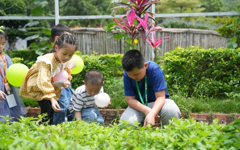 活动预告 | 这个夏天，多场自然教育活动将在九游会园林园艺康养科普基地精彩上演